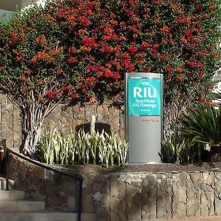 Riu Flamingo Hotel 4*